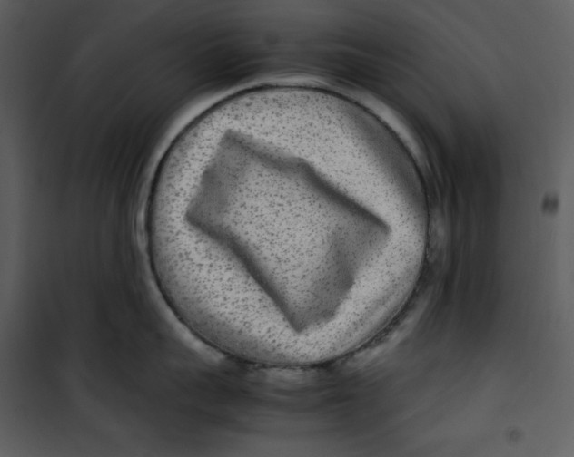 X0000100860959200807181133