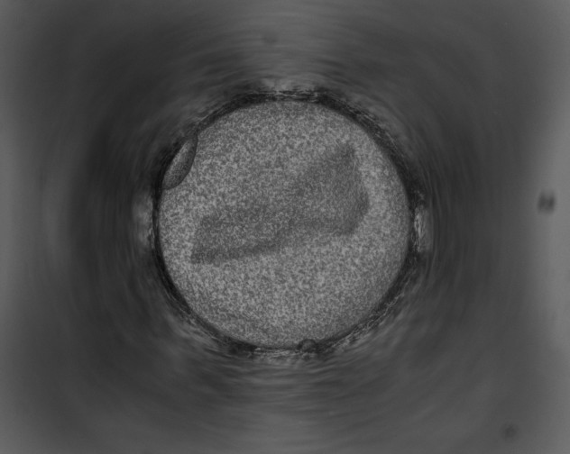 X0000100860963200807181132