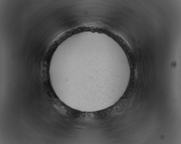 X0000100860968200807181132