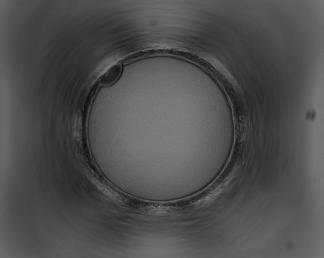 X0000100860969200807181132