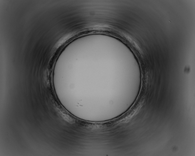 X0000100860970200807181132