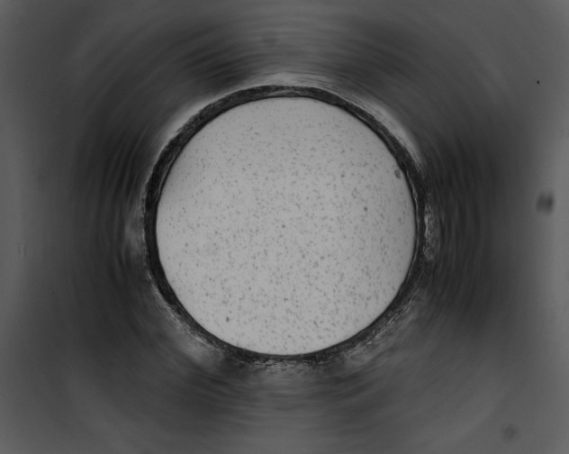 X0000100860972200807181132