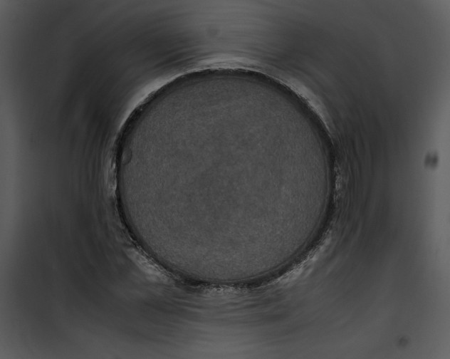 X0000100860973200807181132