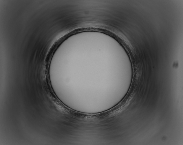 X0000100860974200807181132