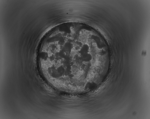 X0000100860975200807181132