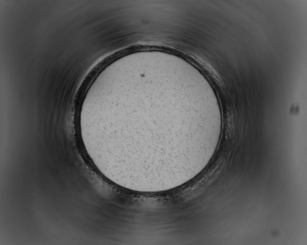 X0000100860976200807181132