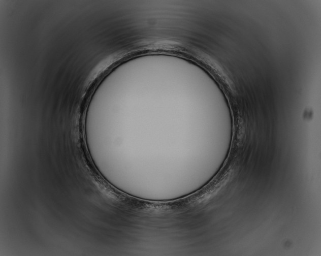 X0000100860978200807181132