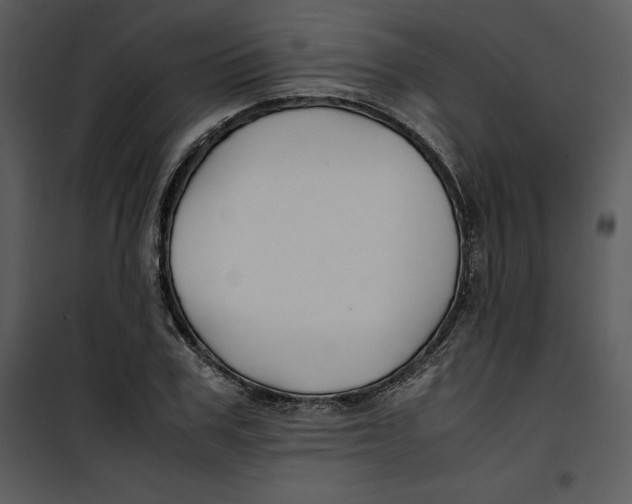 X0000100860979200807181132