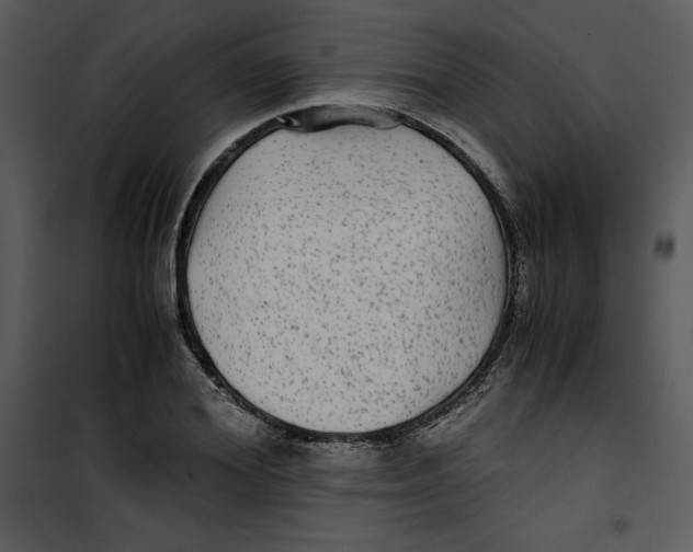 X0000100860980200807181132