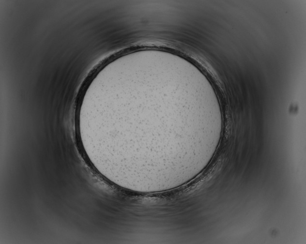 X0000100860984200807181132