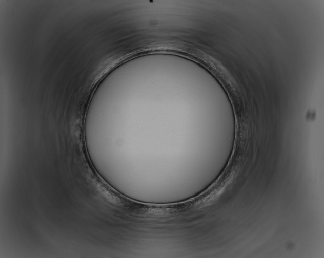 X0000100860985200807181132