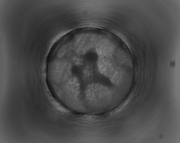 X0000100860987200807181132