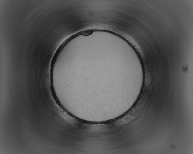 X0000100860988200807181132