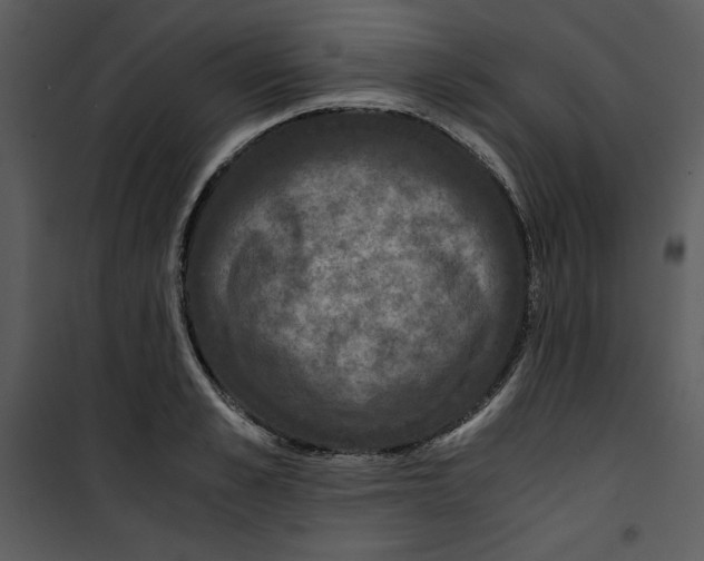 X0000100860989200807181132