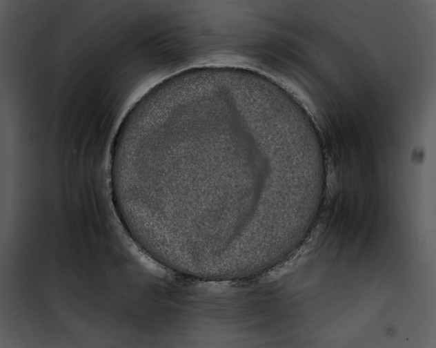 X0000100860990200807181132