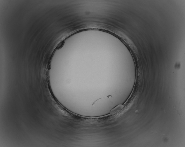 X0000100860993200807181132