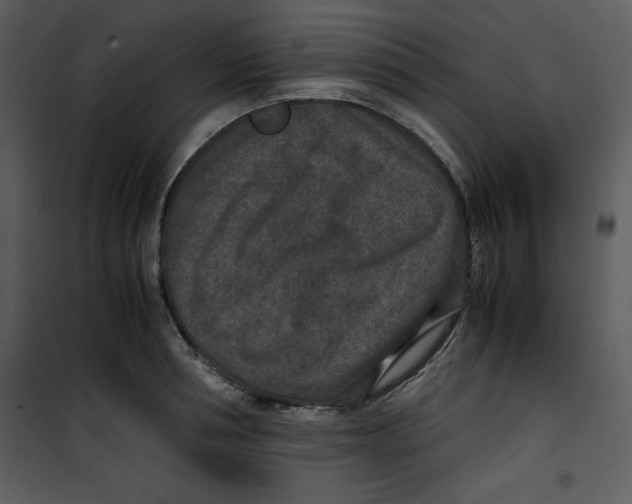 X0000100860994200807181132