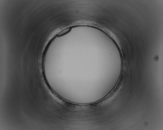 X0000100860997200807181132