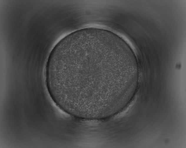 X0000100860999200807181132