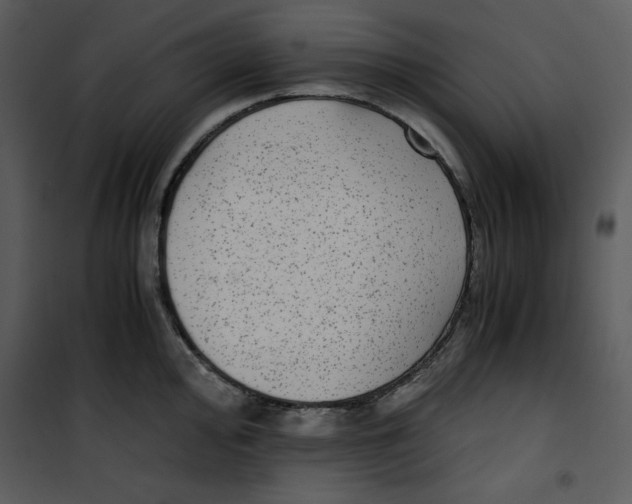 X0000100861000200807181132