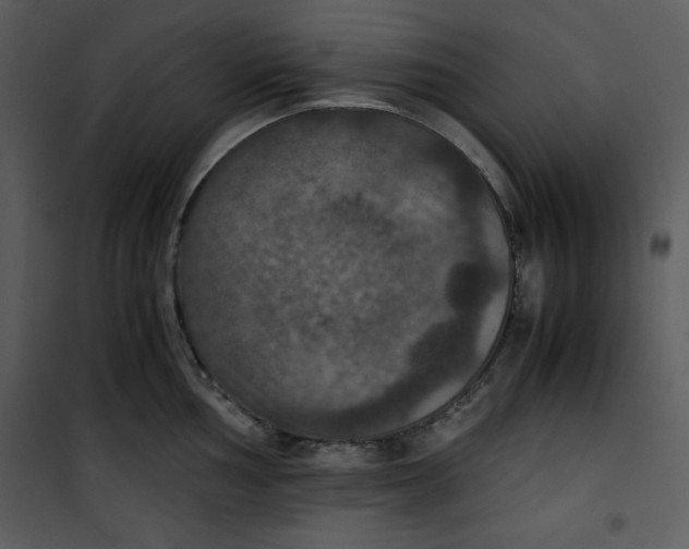 X0000100861002200807181132