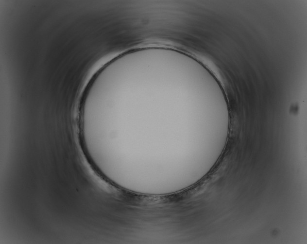 X0000100861003200807181132