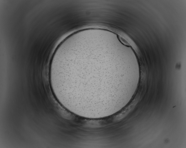 X0000100861004200807181132