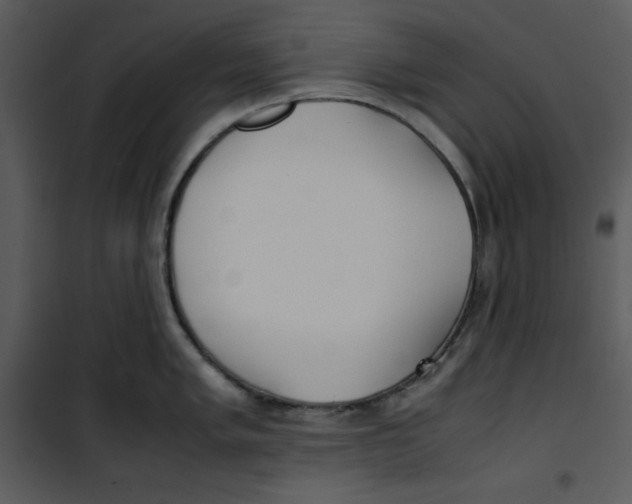 X0000100861005200807181132