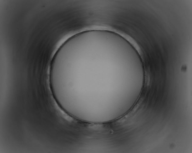 X0000100861006200807181132