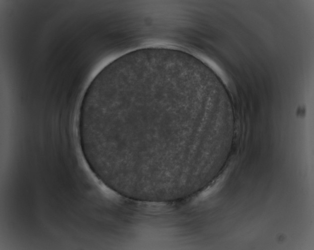 X0000100861007200807181132