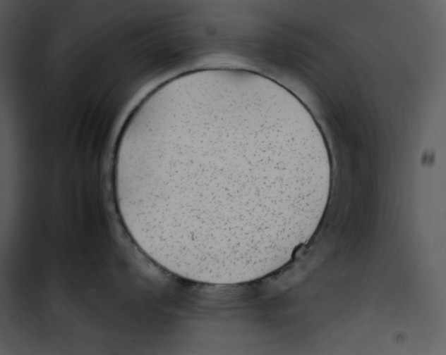 X0000100861008200807181132