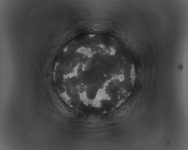 X0000100861009200807181131