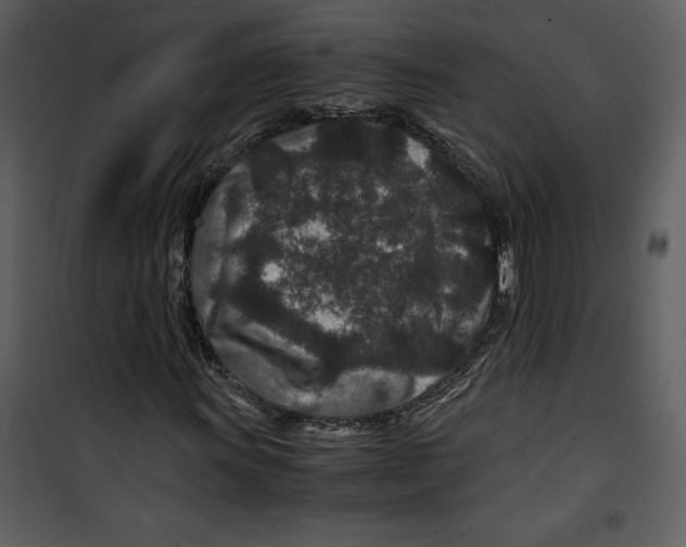 X0000100861011200807181131