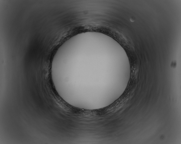 X0000100861012200807181131