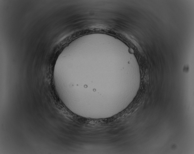 X0000100861015200807181131