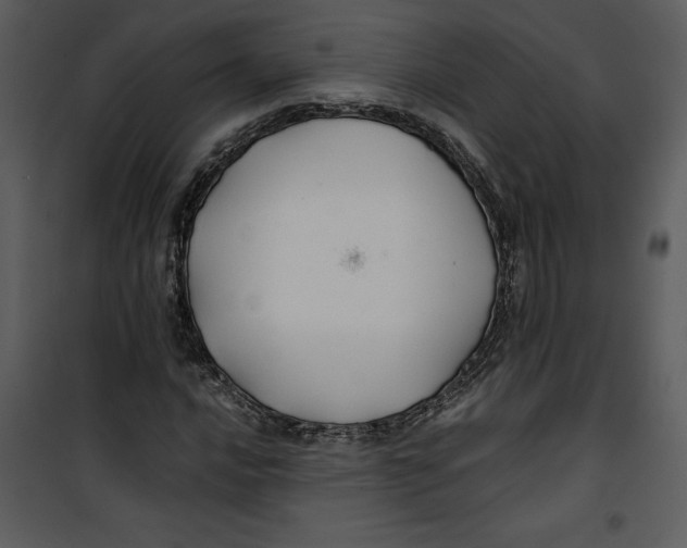 X0000100861016200807181131