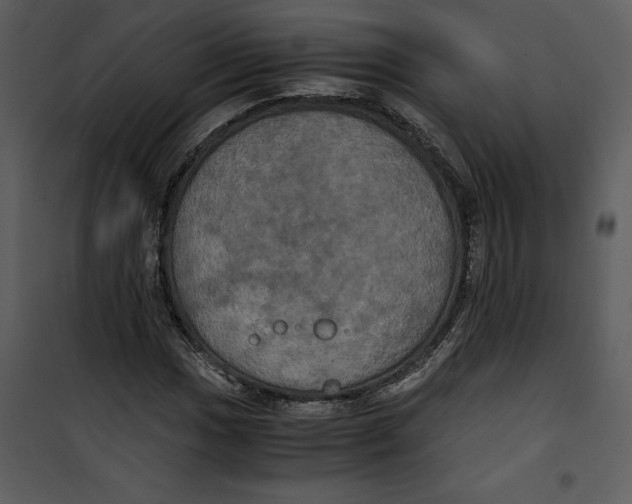 X0000100861017200807181131