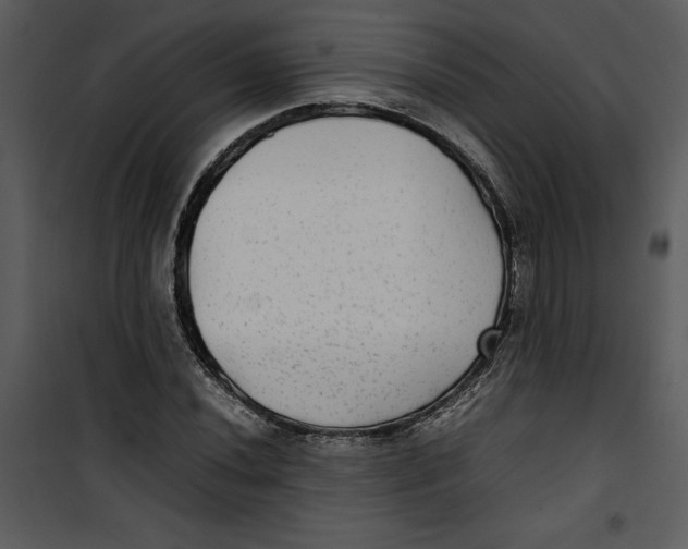 X0000100861020200807181131