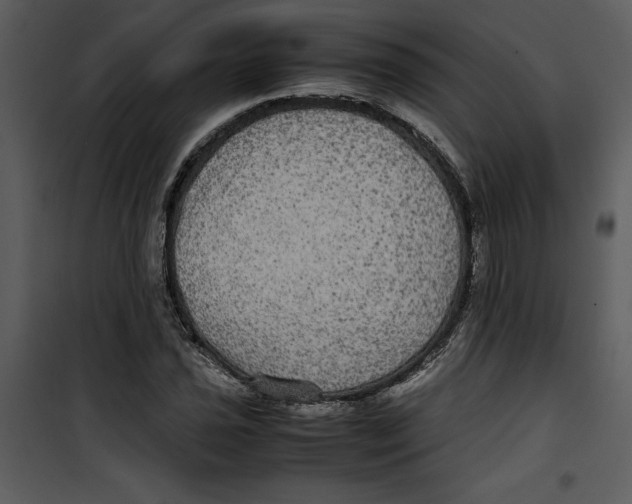 X0000100861021200807181131