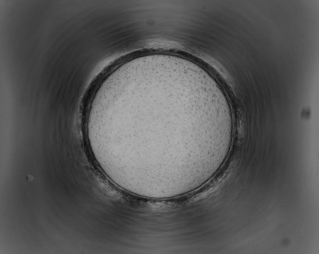 X0000100861022200807181131