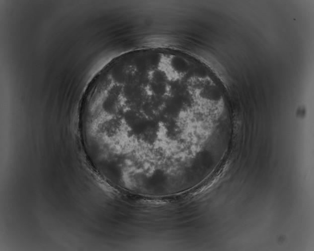 X0000100861023200807181131