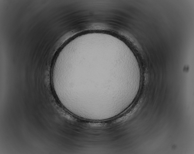 X0000100861025200807181131