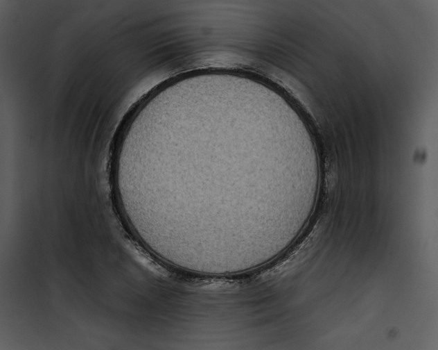 X0000100861026200807181131