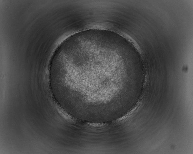 X0000100861027200807181131