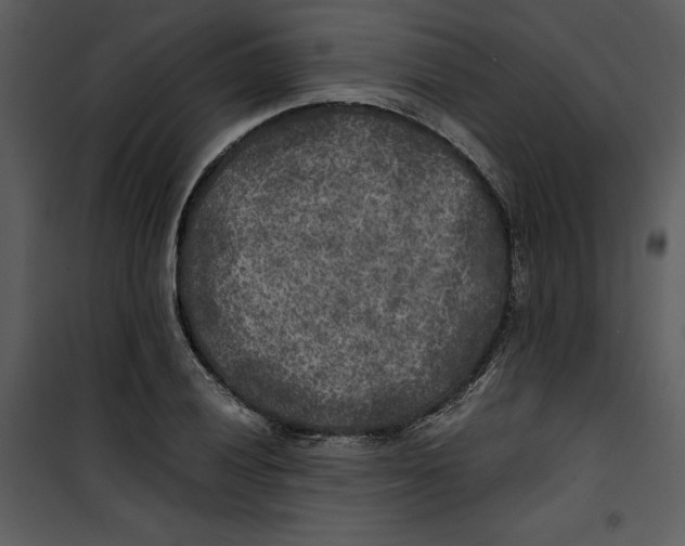 X0000100861028200807181131