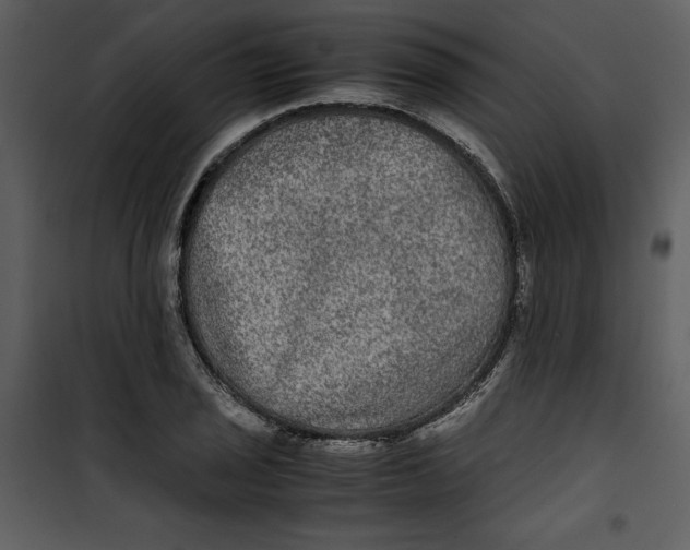 X0000100861029200807181131