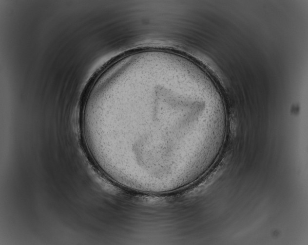 X0000100861030200807181131