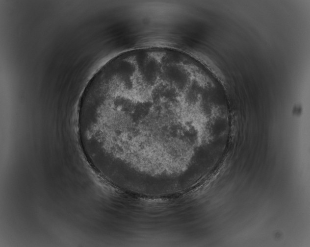 X0000100861031200807181131