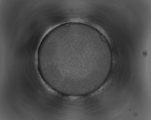 X0000100861032200807181131