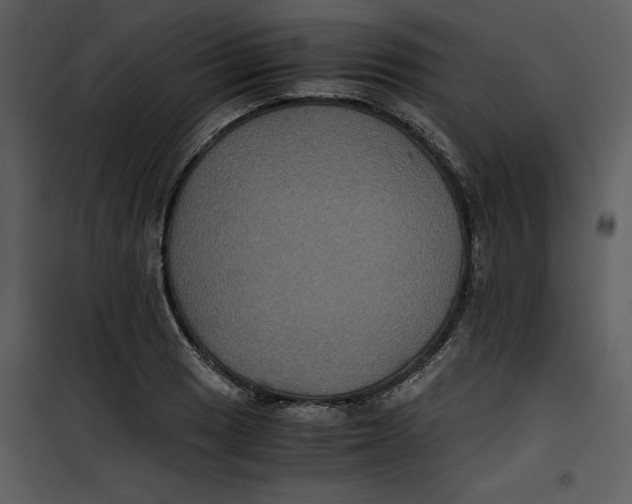 X0000100861033200807181131